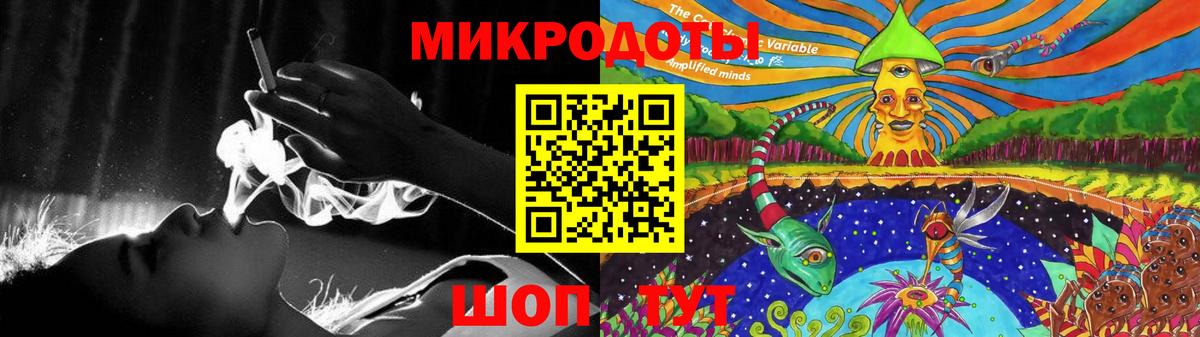 Псилоцибиновые грибы Psilocybine cubensis Заводоуковск